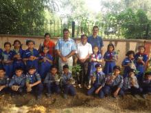 Tree Plantation by scouts and guides